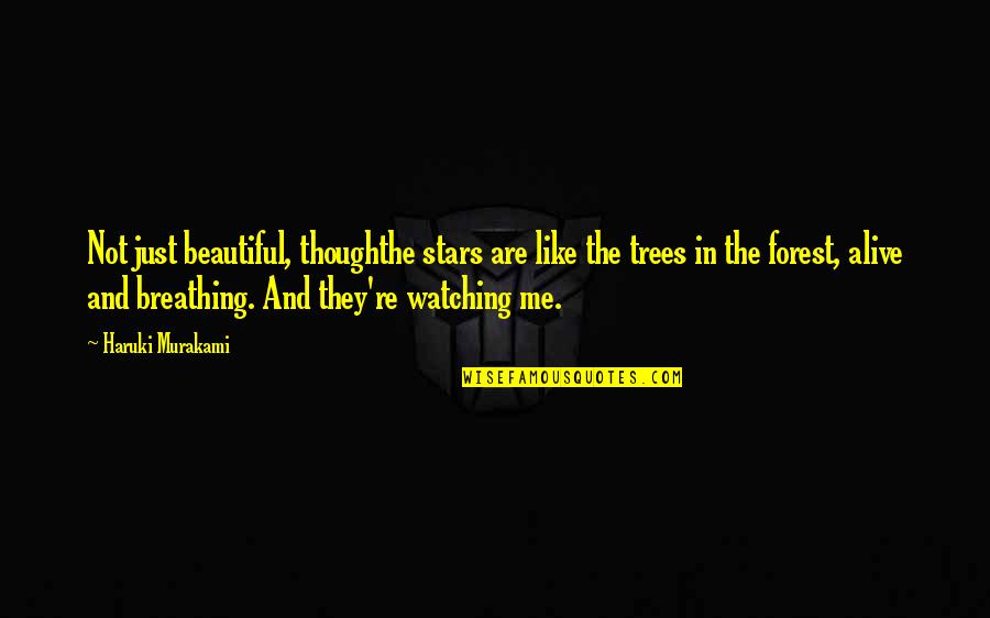 I Like My Nature Quotes By Haruki Murakami: Not just beautiful, thoughthe stars are like the