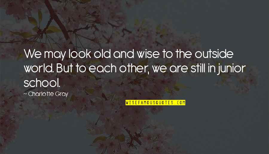 I Look Up To My Sister Quotes By Charlotte Gray: We may look old and wise to the