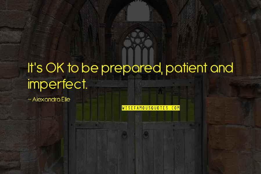 I Salute You Sir Quotes By Alexandra Elle: It's OK to be prepared, patient and imperfect.