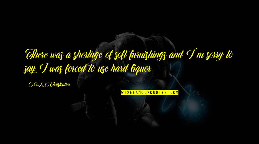 I Say Sorry Quotes By D.L. Christopher: There was a shortage of soft furnishings and