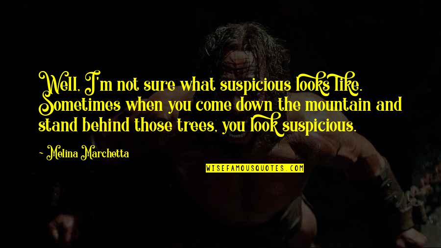 I Stand Behind You Quotes By Melina Marchetta: Well, I'm not sure what suspicious looks like.