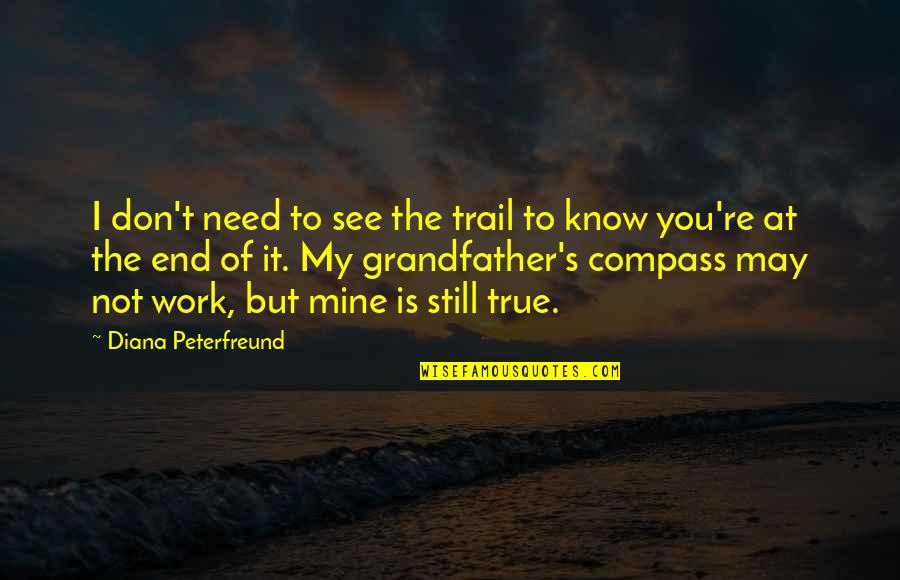 I Still Love You But Quotes By Diana Peterfreund: I don't need to see the trail to