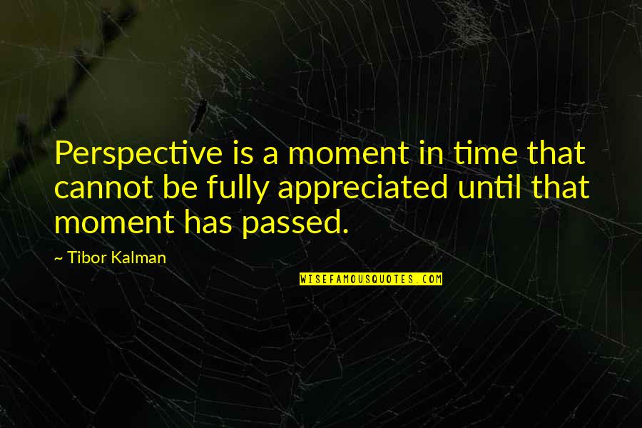 I Thought You Trusted Me Quotes By Tibor Kalman: Perspective is a moment in time that cannot