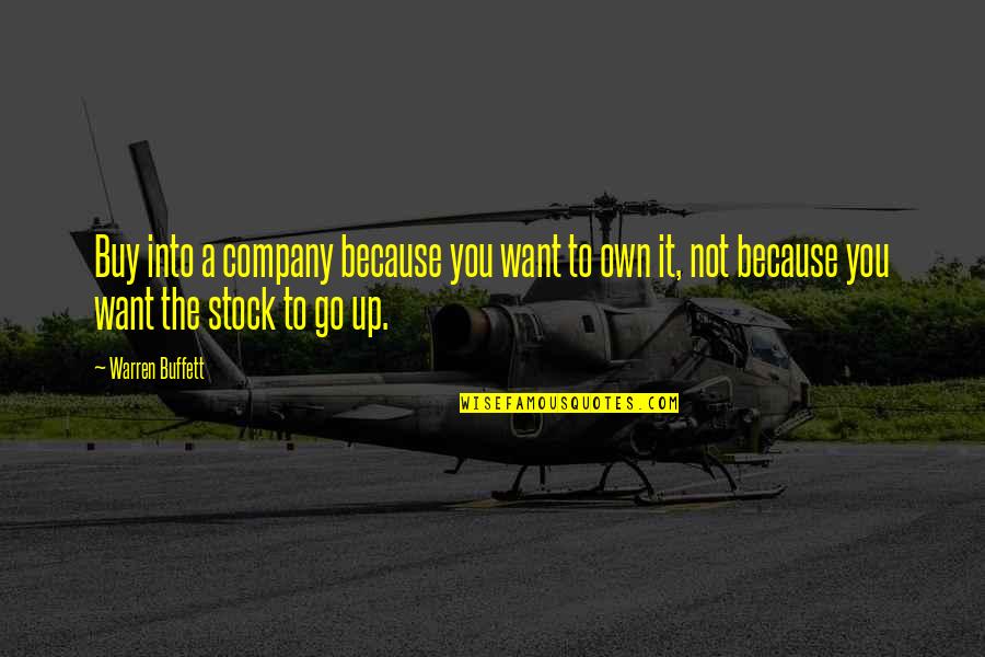 I Want More Money Quotes By Warren Buffett: Buy into a company because you want to