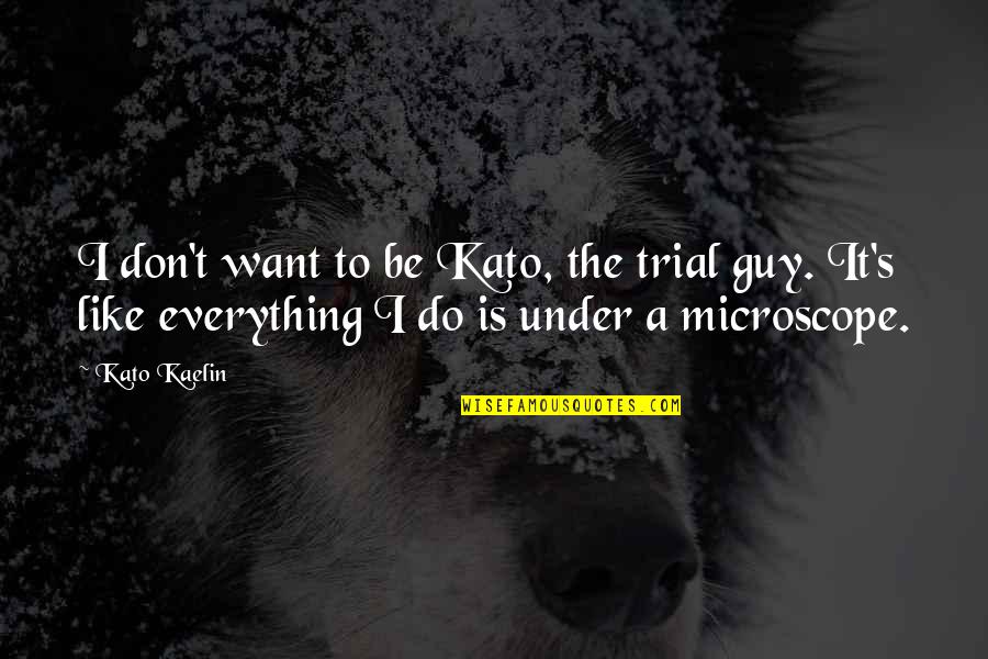 I Want To Be The Guy Quotes By Kato Kaelin: I don't want to be Kato, the trial