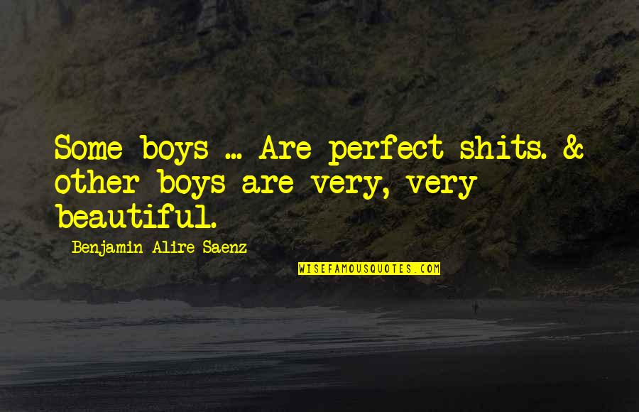 Ibuse Black Quotes By Benjamin Alire Saenz: Some boys ... Are perfect shits. & other