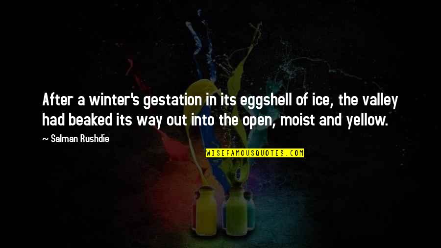 Ice's Quotes By Salman Rushdie: After a winter's gestation in its eggshell of