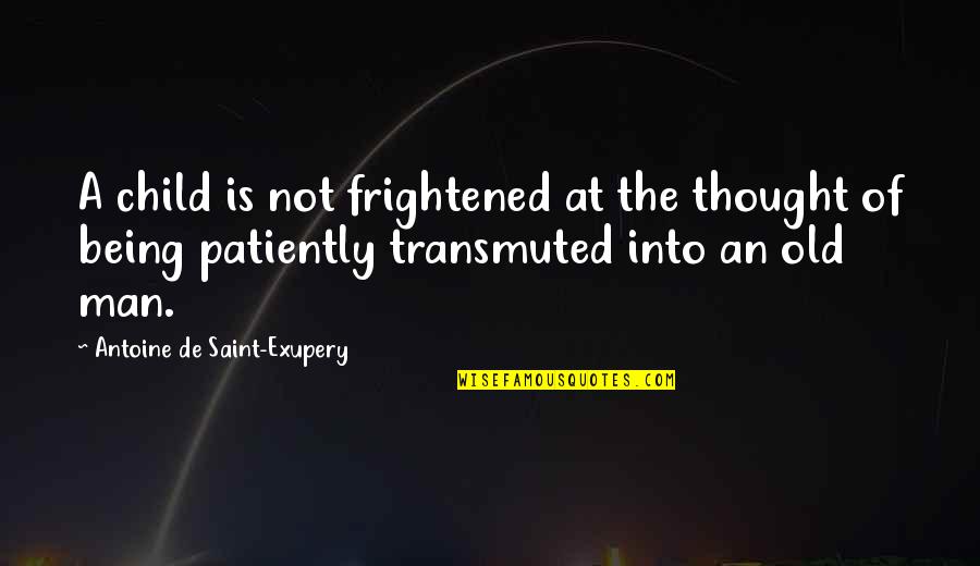 Ideal Partner Quotes By Antoine De Saint-Exupery: A child is not frightened at the thought