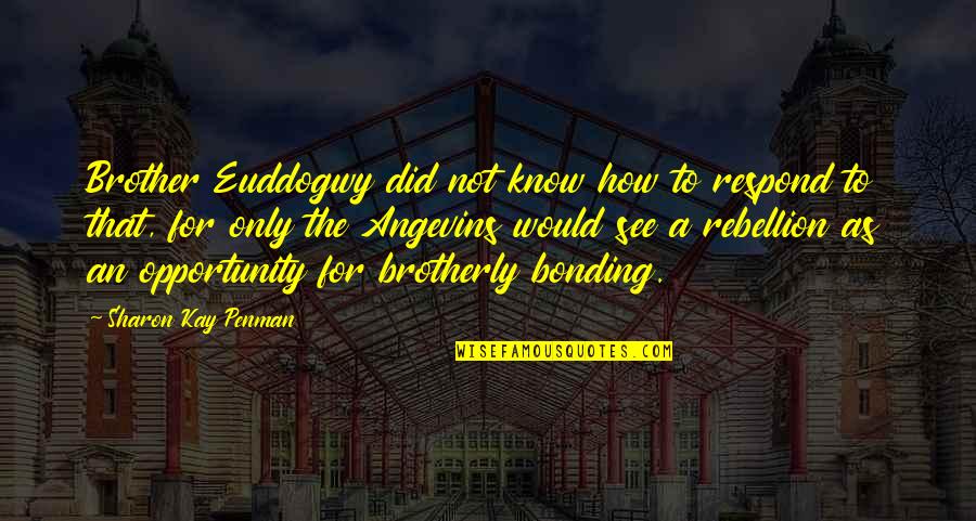 Identicalness Quotes By Sharon Kay Penman: Brother Euddogwy did not know how to respond