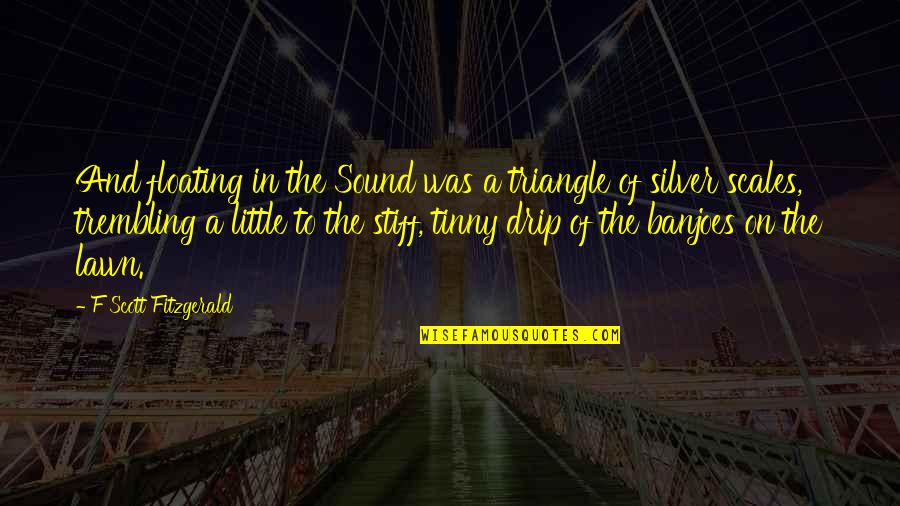 If Christmas Is Hard Quotes By F Scott Fitzgerald: And floating in the Sound was a triangle