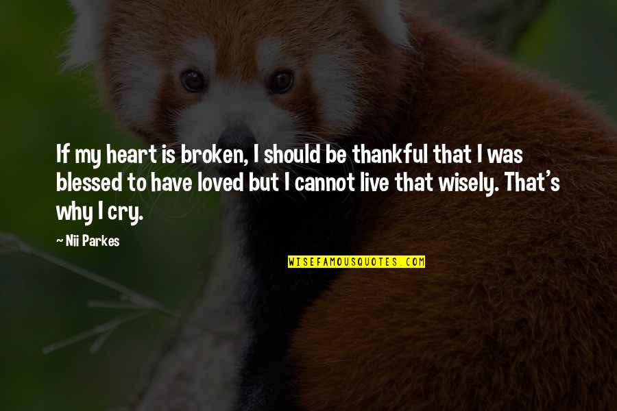 If I Cry Quotes By Nii Parkes: If my heart is broken, I should be