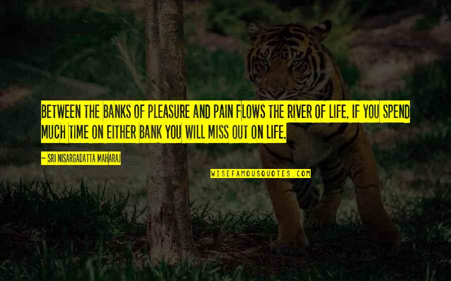 If Missing You Quotes By Sri Nisargadatta Maharaj: Between the banks of pleasure and pain flows