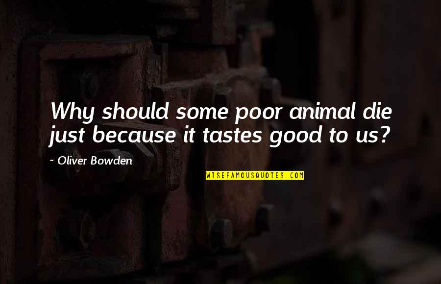 If You Die Poor Quotes By Oliver Bowden: Why should some poor animal die just because