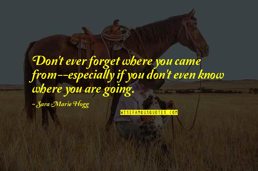 If You Don't Know Quotes By Sara Marie Hogg: Don't ever forget where you came from--especially if