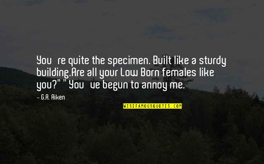 If You Insult Me Quotes By G.A. Aiken: You're quite the specimen. Built like a sturdy