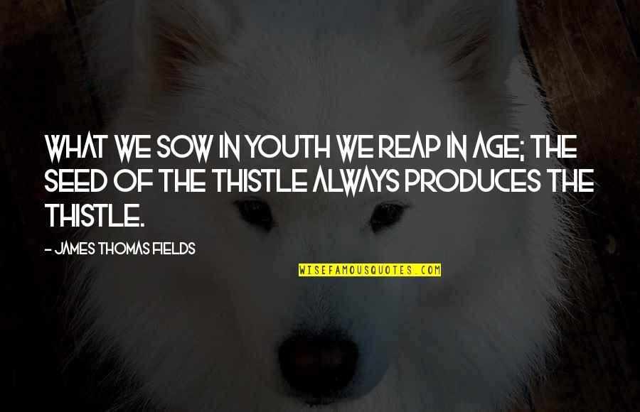 If You Take Someone For Granted Quotes By James Thomas Fields: What we sow in youth we reap in