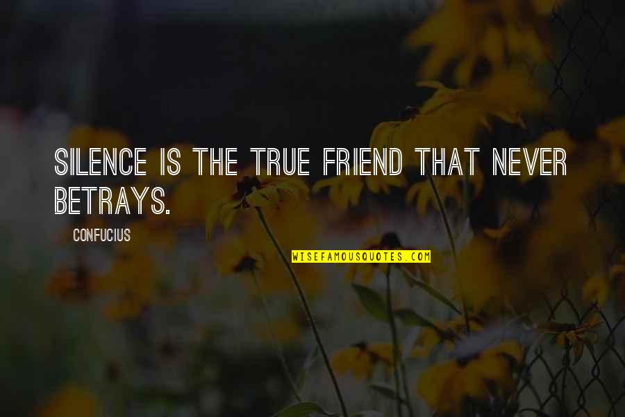 If You Were True Friend Quotes By Confucius: Silence is the true friend that never betrays.