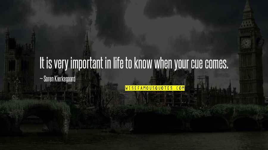 Iipr Quotes By Soren Kierkegaard: It is very important in life to know