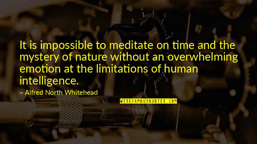 Ikebukuro Quotes By Alfred North Whitehead: It is impossible to meditate on time and