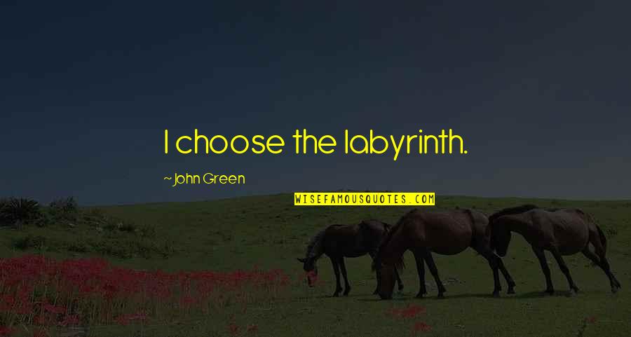 Ikonomu Vila Quotes By John Green: I choose the labyrinth.