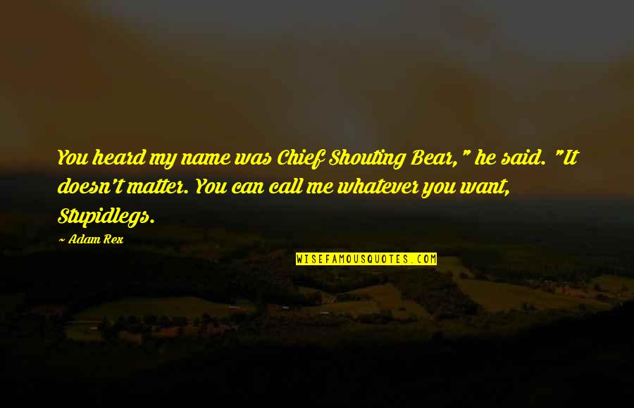 Ileana Vulpescu Quotes By Adam Rex: You heard my name was Chief Shouting Bear,"