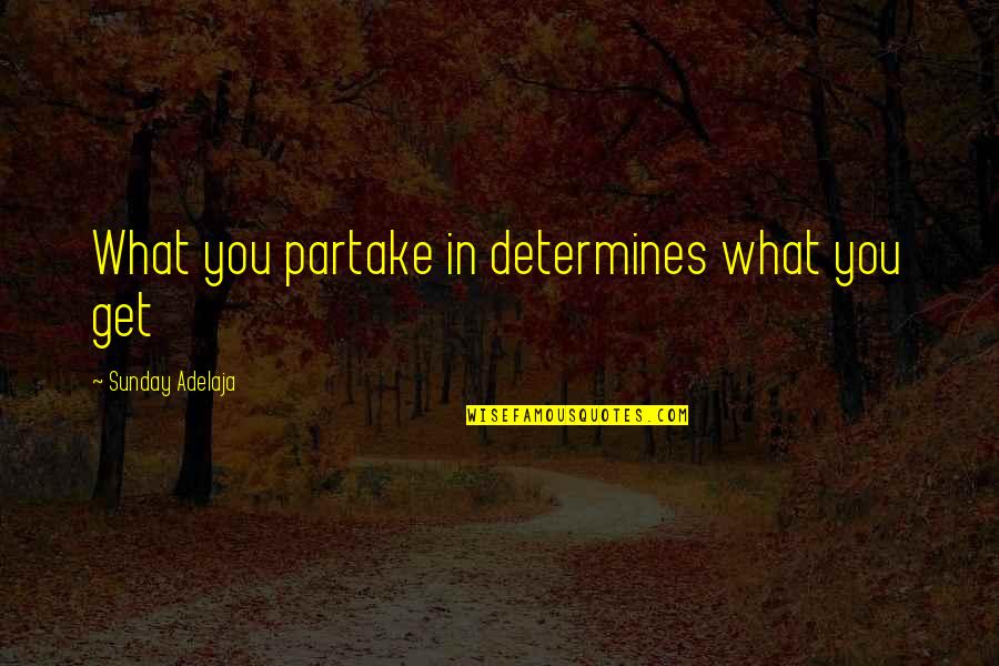 Iliskiler Filmi Quotes By Sunday Adelaja: What you partake in determines what you get