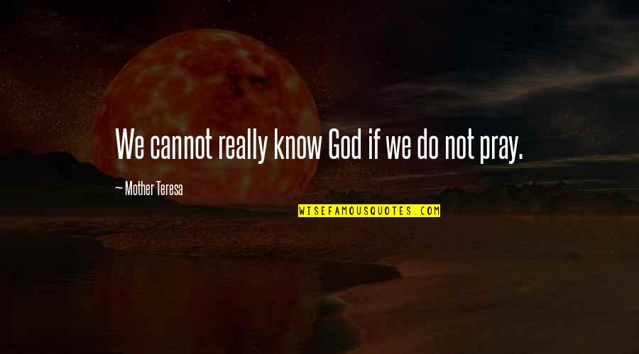 Illocutionary Stage Quotes By Mother Teresa: We cannot really know God if we do