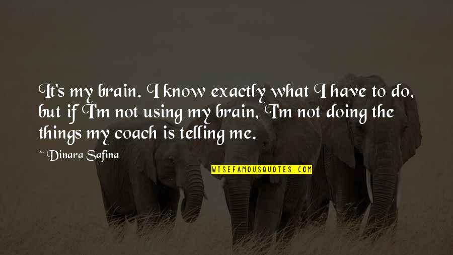 I'm Doing It Quotes By Dinara Safina: It's my brain. I know exactly what I