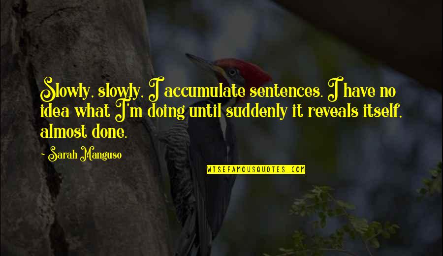 I'm Doing It Quotes By Sarah Manguso: Slowly, slowly, I accumulate sentences. I have no