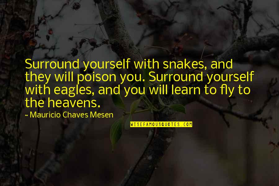 I'm Happiest Girl Quotes By Mauricio Chaves Mesen: Surround yourself with snakes, and they will poison