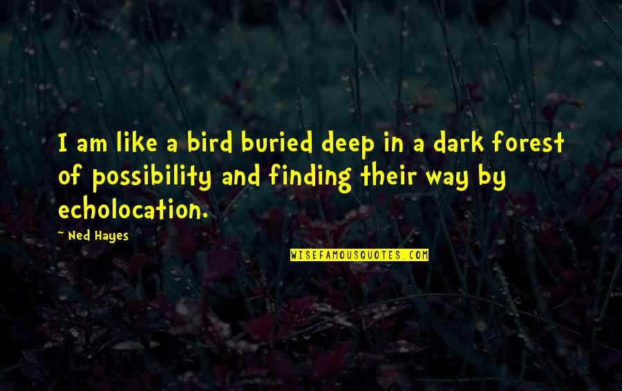 I'm Like A Bird Quotes By Ned Hayes: I am like a bird buried deep in