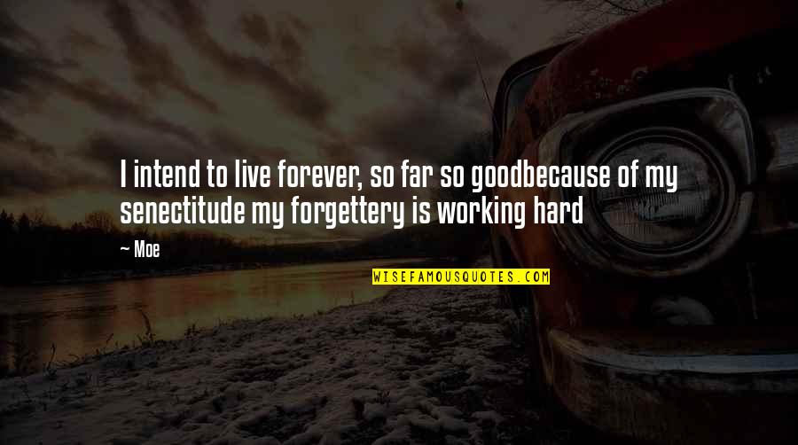 I'm Not Asking You To Love Me Quotes By Moe: I intend to live forever, so far so