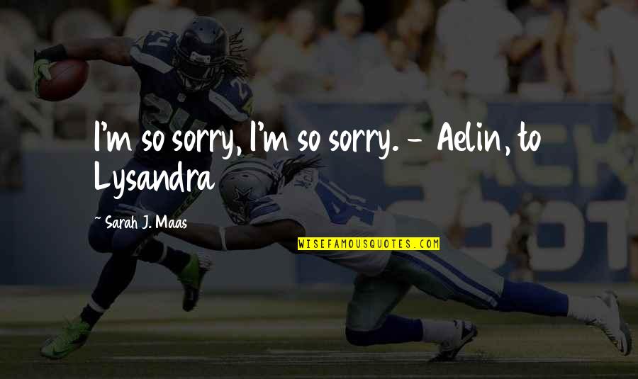 I'm So Sorry Quotes By Sarah J. Maas: I'm so sorry, I'm so sorry. - Aelin,