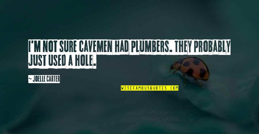 I'm Used Quotes By Joelle Carter: I'm not sure cavemen had plumbers. They probably