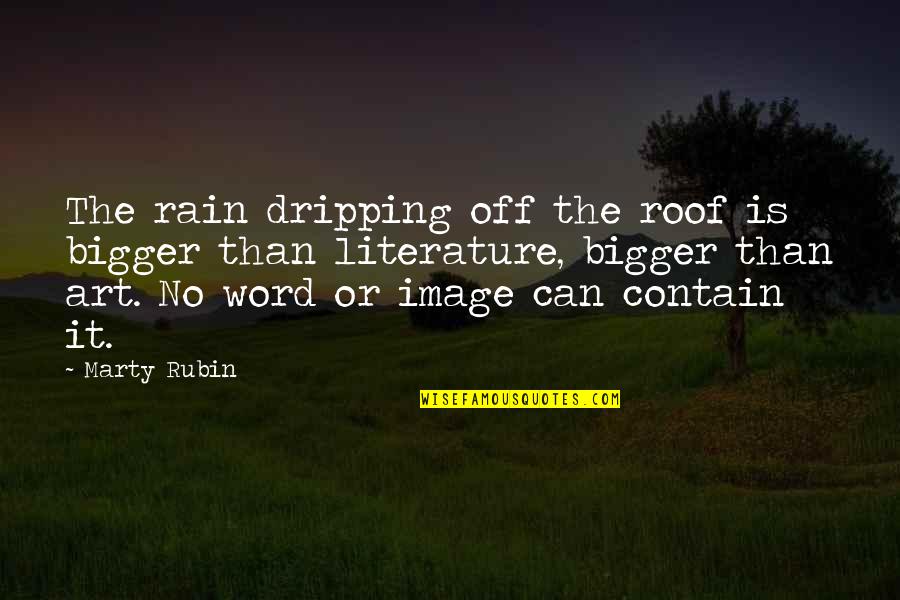 Images Of Art Quotes By Marty Rubin: The rain dripping off the roof is bigger