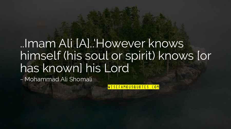 Imam Ali Quotes By Mohammad Ali Shomali: ..Imam Ali [A]..'However knows himself (his soul or