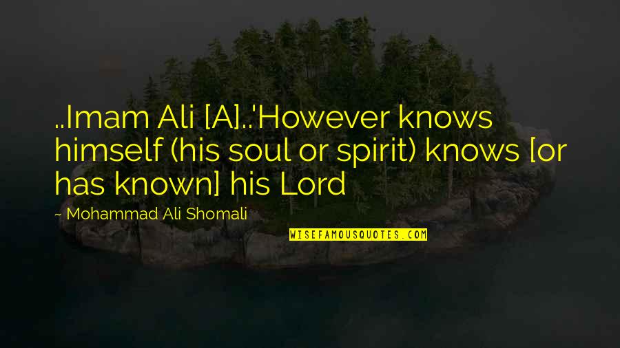 Imam Ali R.a Quotes By Mohammad Ali Shomali: ..Imam Ali [A]..'However knows himself (his soul or