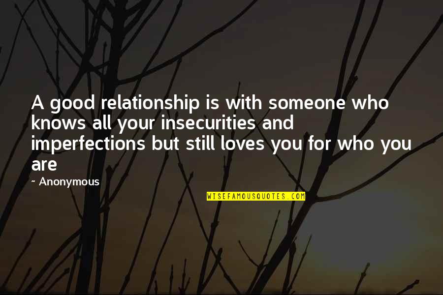 Imperfections And Love Quotes By Anonymous: A good relationship is with someone who knows