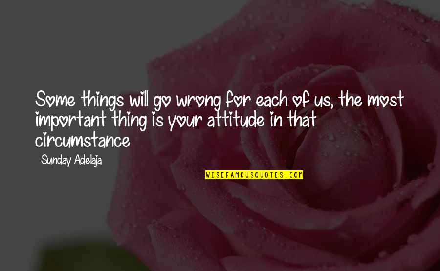 Important Things Of Life Quotes By Sunday Adelaja: Some things will go wrong for each of