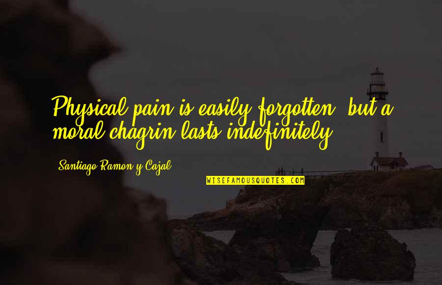 In Physical Pain Quotes By Santiago Ramon Y Cajal: Physical pain is easily forgotten, but a moral