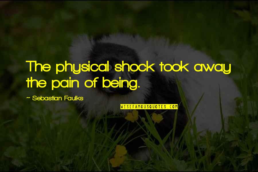 In Physical Pain Quotes By Sebastian Faulks: The physical shock took away the pain of