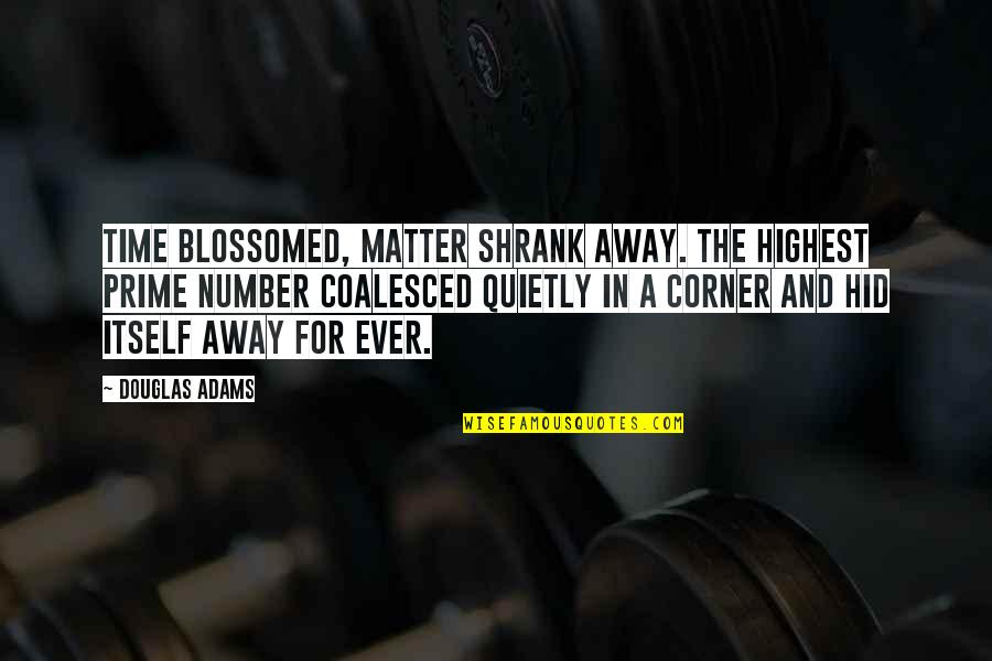 In The Corner Quotes By Douglas Adams: Time blossomed, matter shrank away. The highest prime