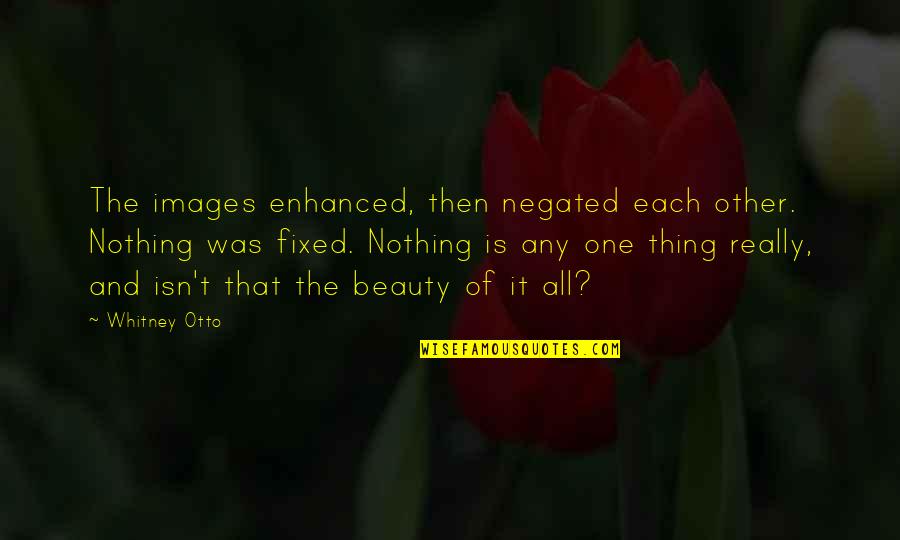 Inapproachability Quotes By Whitney Otto: The images enhanced, then negated each other. Nothing