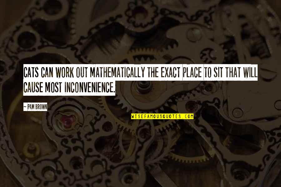 Inconvenience'n'all Quotes By Pam Brown: Cats can work out mathematically the exact place