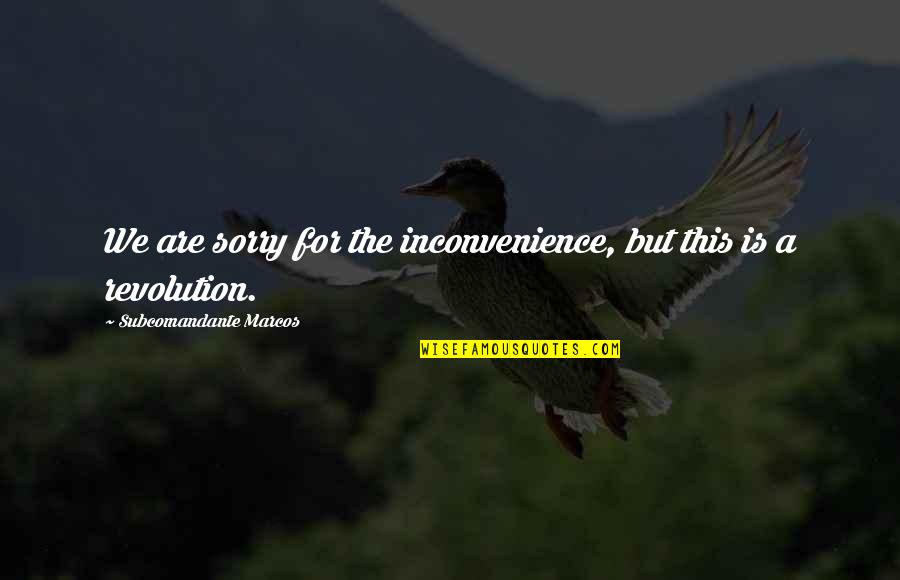 Inconvenience'n'all Quotes By Subcomandante Marcos: We are sorry for the inconvenience, but this