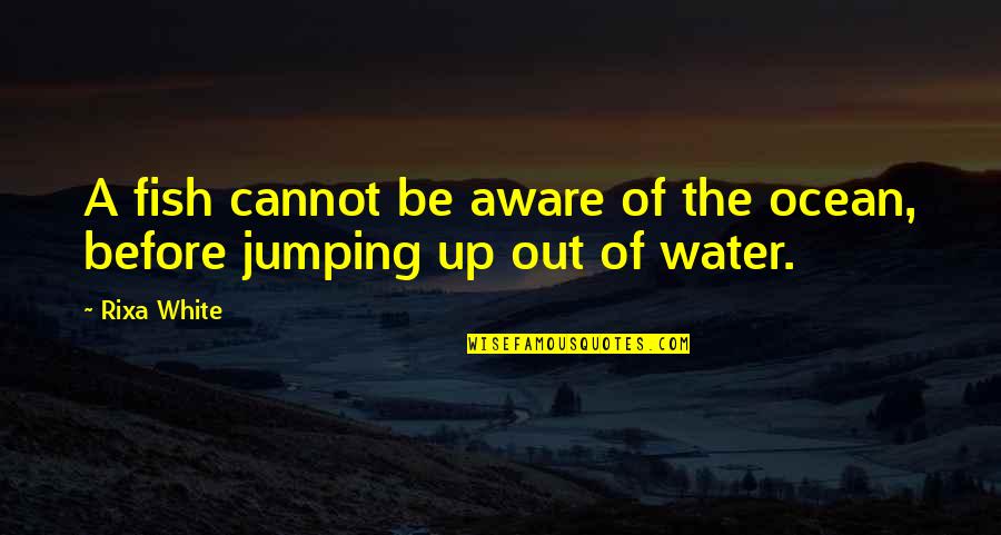 Incorrigible Movie Quotes By Rixa White: A fish cannot be aware of the ocean,