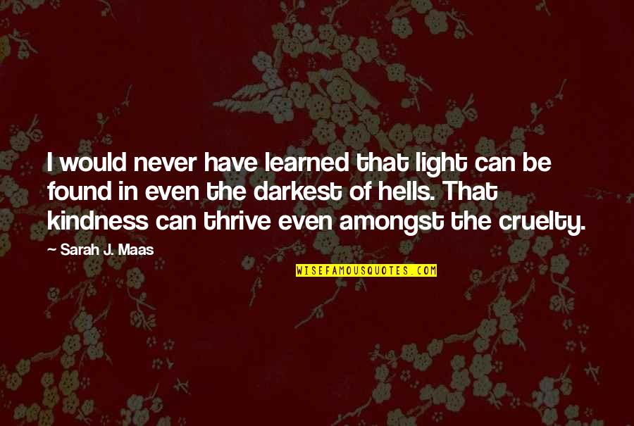 Ind Vs Pak Quotes By Sarah J. Maas: I would never have learned that light can