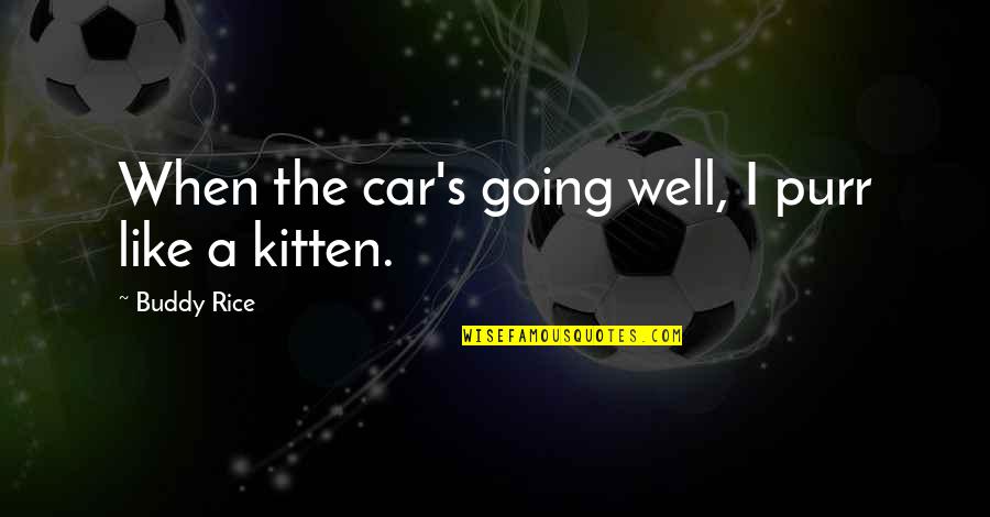 Indea Quotes By Buddy Rice: When the car's going well, I purr like