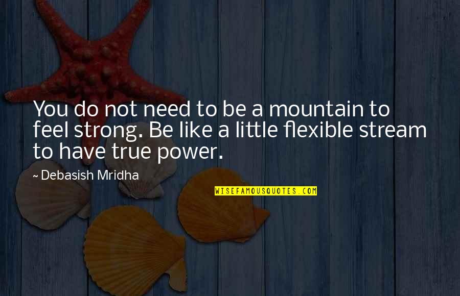 Independent Bookstore Quotes By Debasish Mridha: You do not need to be a mountain