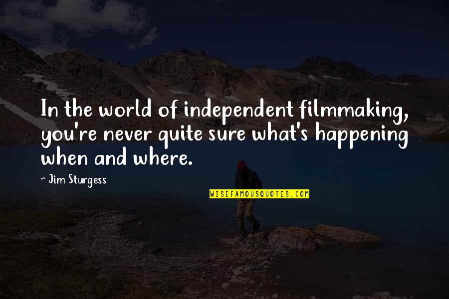 Independent Filmmaking Quotes By Jim Sturgess: In the world of independent filmmaking, you're never